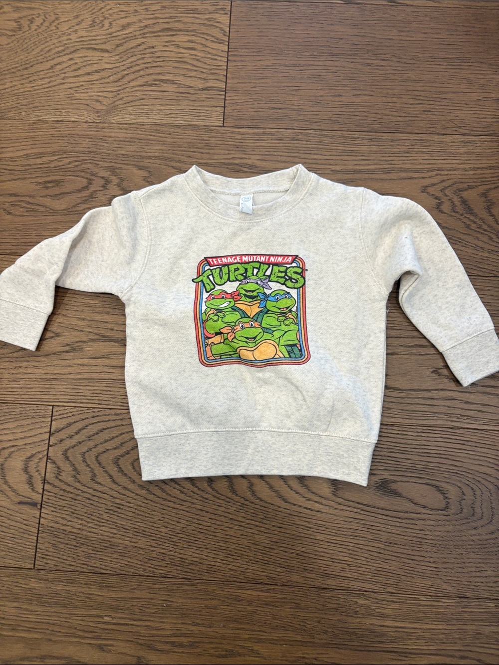 Teenage Mutant Ninja Turtles Kids Heather Gray Graphic Sweatshirt